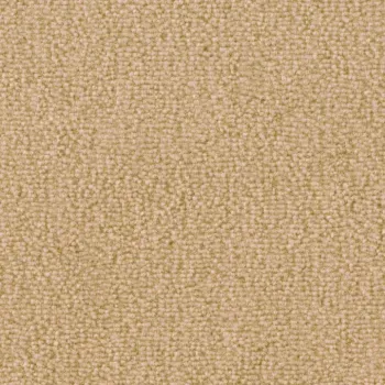 Preview: Nahaufnahme der Teppichfarbe Vorwerk Barista 8L40 – Veloursstruktur im Detail